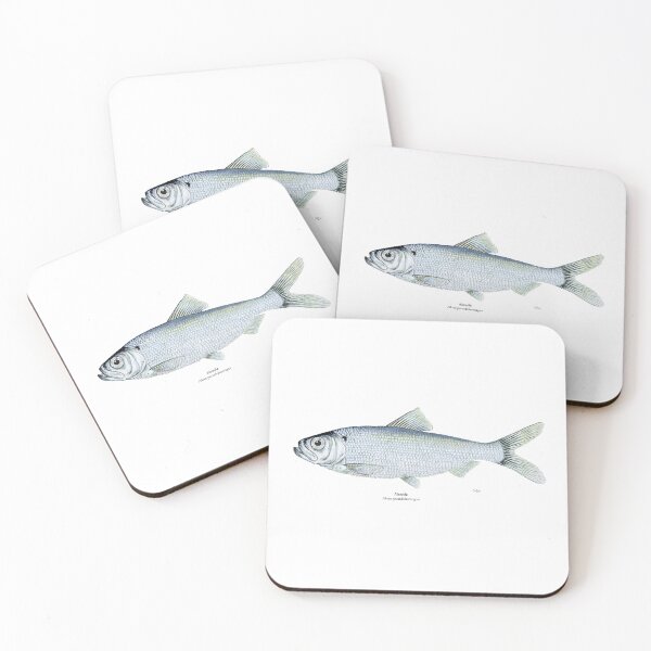 Item preview, Alewife Painting designed and sold by Stephen Emms.