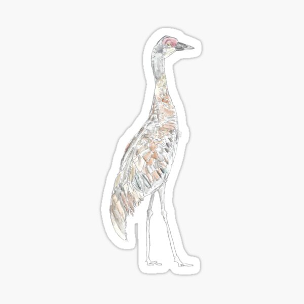 Item preview, Sandhill Crane designed and sold by chrisnature.