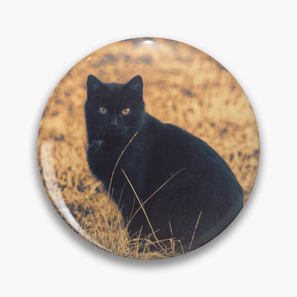 Artikelvorschau, Sepiafarbene Vintage-Landkatze entworfen und verkauft von CountyKent.