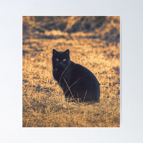 Item preview, Sepia-Tinted Vintage Country Cat  designed and sold by CountyKent.