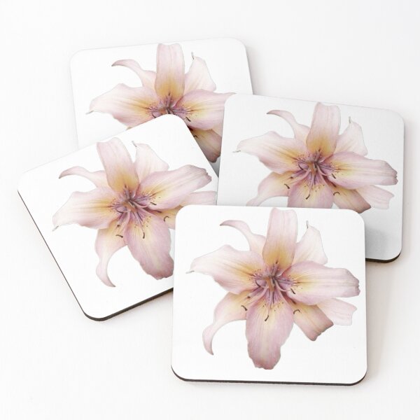 Item preview, coconut flower designed and sold by laviiou.
