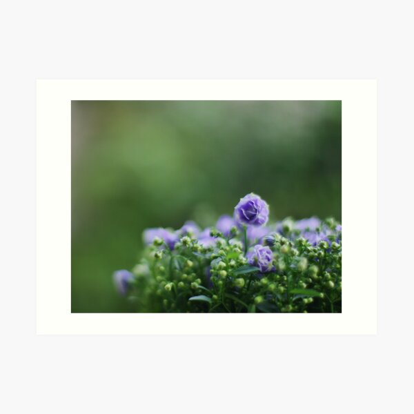 On Gorgeous Green Art Print