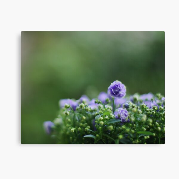 On Gorgeous Green Canvas Print