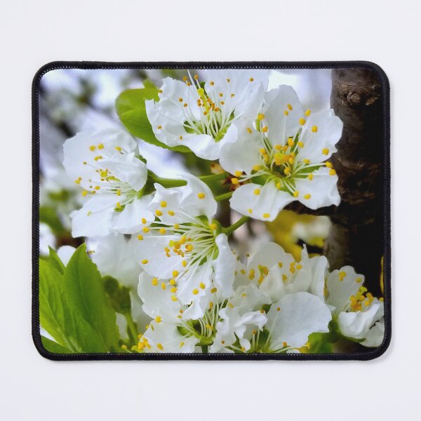 Item preview, Spring Plum Blossoms designed and sold by bjtomiko.