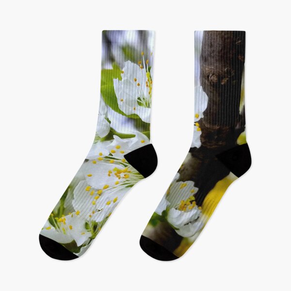 Item preview, Spring Plum Blossoms designed and sold by bjtomiko.