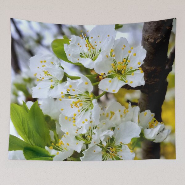 Item preview, Spring Plum Blossoms designed and sold by bjtomiko.