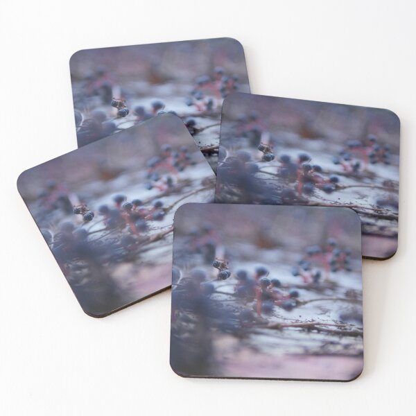 Item preview, Fading Echoes – Wild Berries in the Cold designed and sold by EdieIndie.