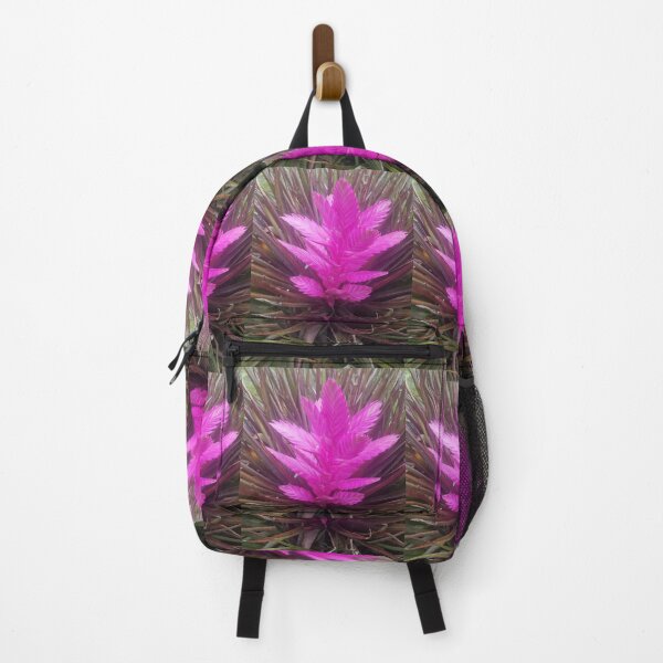 Item preview, pink quill bromeliad flower designed and sold by Lizzilzil.