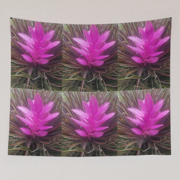 Item preview, pink quill bromeliad flower designed and sold by Lizzilzil.