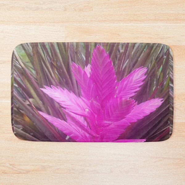 Item preview, pink quill bromeliad flower designed and sold by Lizzilzil.