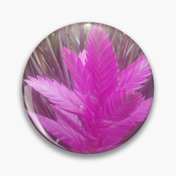 Item preview, pink quill bromeliad flower designed and sold by Lizzilzil.