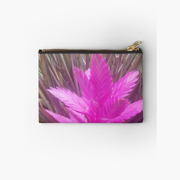 Item preview, pink quill bromeliad flower designed and sold by Lizzilzil.