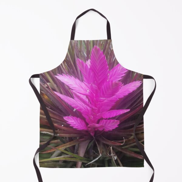 Item preview, pink quill bromeliad flower designed and sold by Lizzilzil.