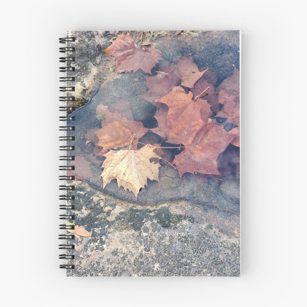 Item preview, Fall Under Water designed and sold by St. Nicholas Gifts.