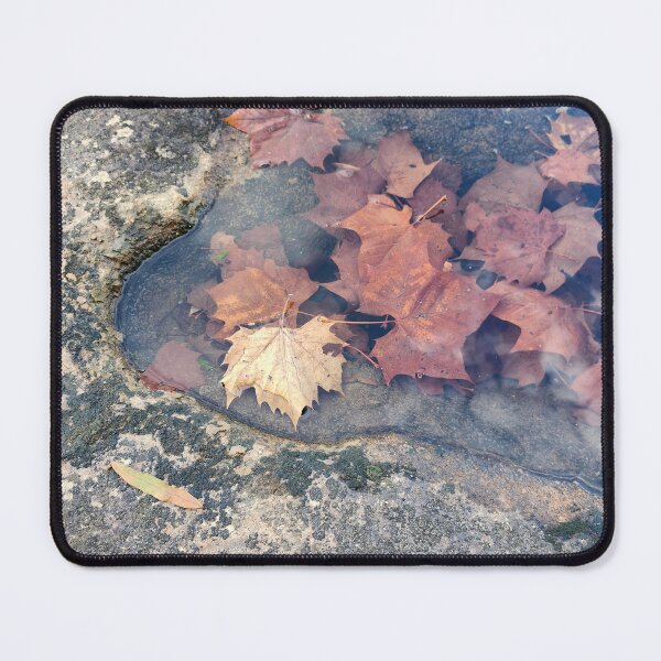 Item preview, Fall Under Water designed and sold by St. Nicholas Gifts.