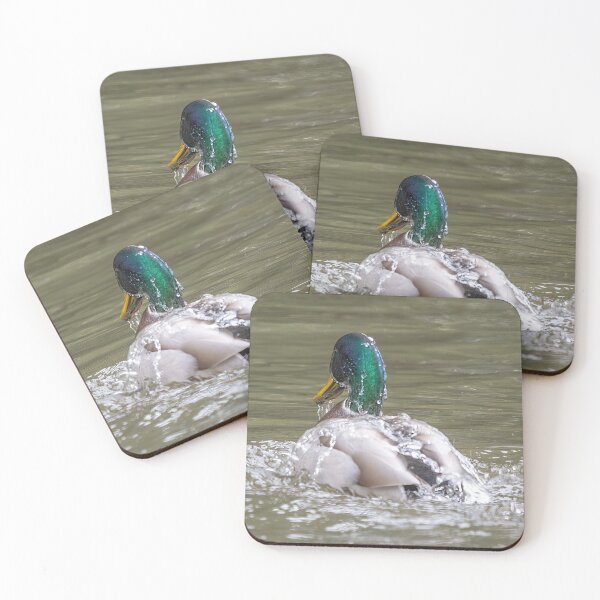 Item preview, Water Off a Duck's Back  designed and sold by CarolM.
