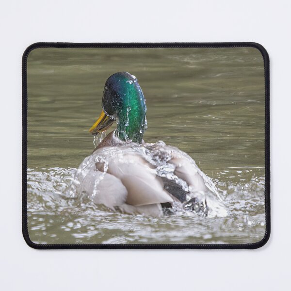Item preview, Water Off a Duck's Back  designed and sold by CarolM.