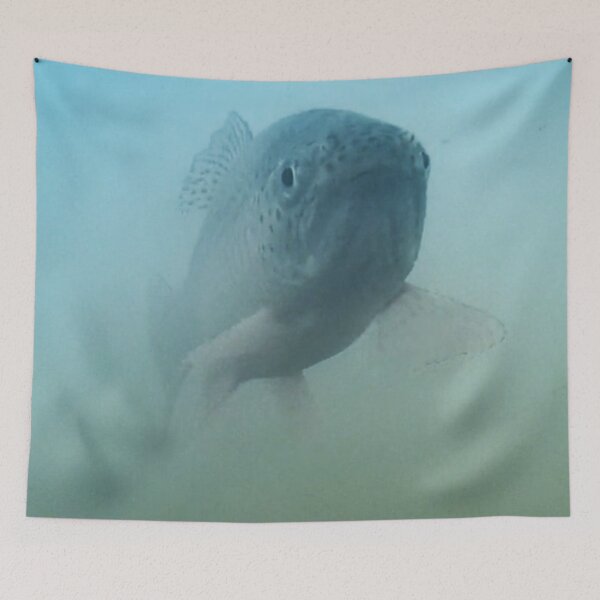 Item preview, Face of a Trout Underwater  designed and sold by CJRPics.