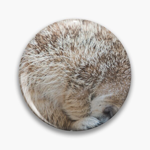 Item preview, Sometimes I Just Need a Nap! designed and sold by Jim Stiles.