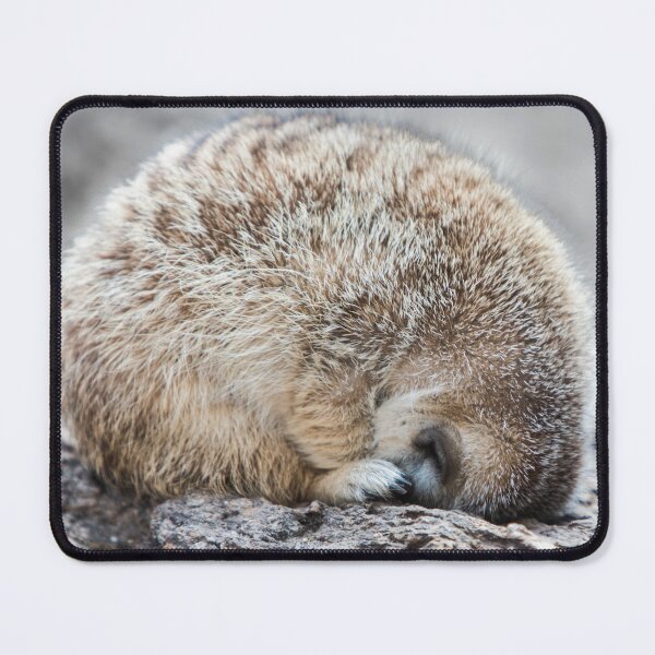 Item preview, Sometimes I Just Need a Nap! designed and sold by Jim Stiles.