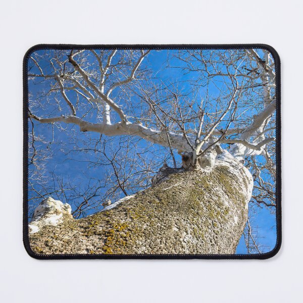 Item preview, Atlas holding up the sky designed and sold by Joel Bader.