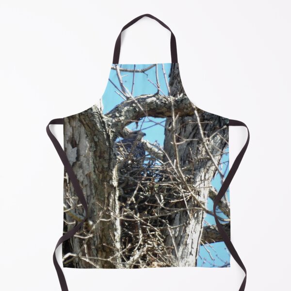 Item preview, Red-shoulder Hawk in Nest designed and sold by gistinker.