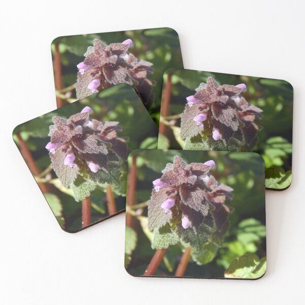 Item preview, Early Reddead Nettle designed and sold by gistinker.