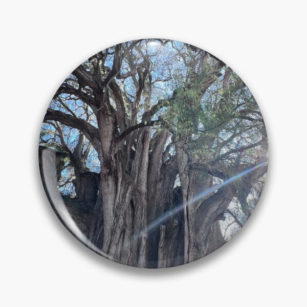 Artikelvorschau, El Tule-Baum in Oaxaca entworfen und verkauft von ciaobella2u.
