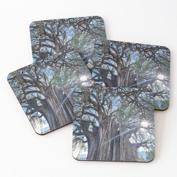 Item preview, El Tule Tree in Oaxaca designed and sold by ciaobella2u.