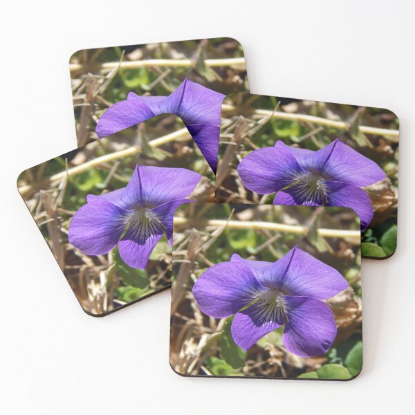 Item preview, First Violet of Spring designed and sold by gistinker.