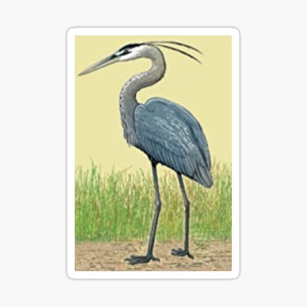 Item preview, Great Blue Heron designed and sold by SIpublishing.