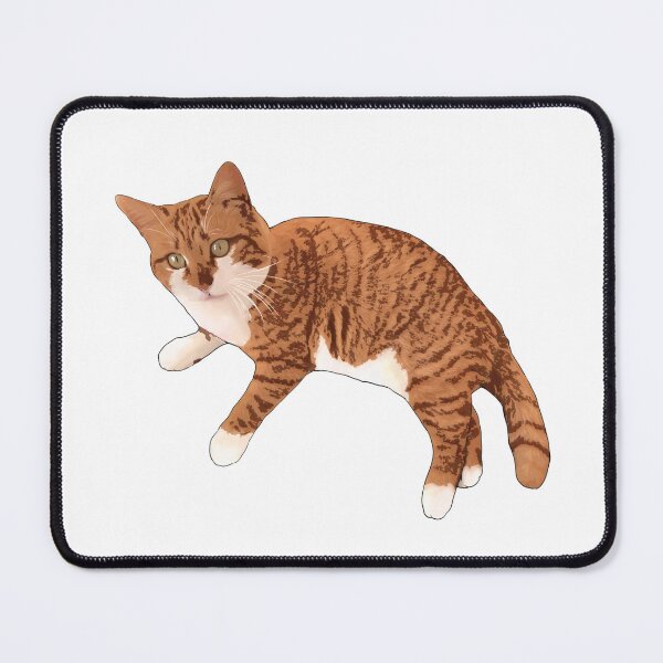 Item preview, CUTY  STRAY CAT IMAGE (front) 13th designed and sold by Soheemanga.