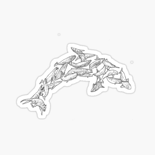 Cetacea - Whales and Dolphins - Evolution Sticker