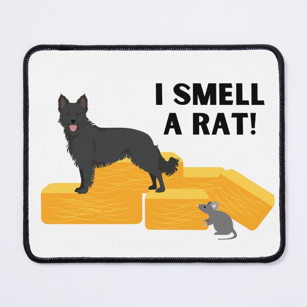Item preview, Black Mudi I Smell A Rat Barn Hunt designed and sold by Mop Dog Designs.