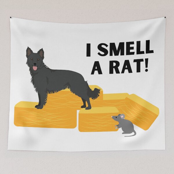 Item preview, Black Mudi I Smell A Rat Barn Hunt designed and sold by Mop Dog Designs.