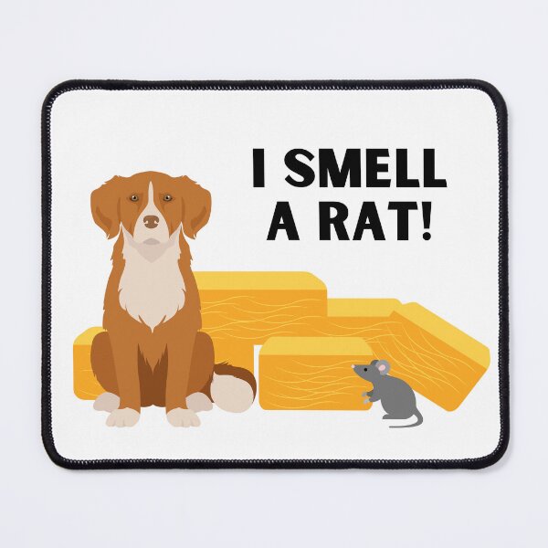 Item preview, Nova Scotia Duck Tolling Retriever I Smell A Rat Barn Hunt designed and sold by Mop Dog Designs.