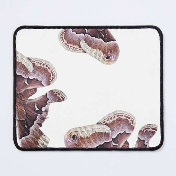 Item preview,  Promethea Silkmoth: Nature's Nocturnal Jewel designed and sold by LuxuryApparels.