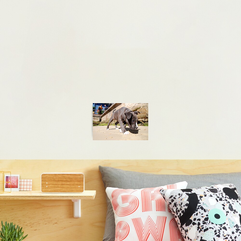Item preview, Photographic Print designed and sold by andreisky.