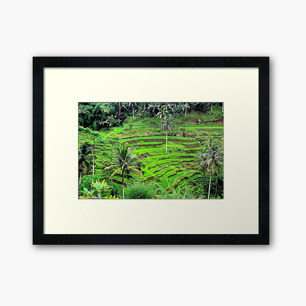 Item preview, Lush Green Terraces of Bali designed and sold by Aure50.