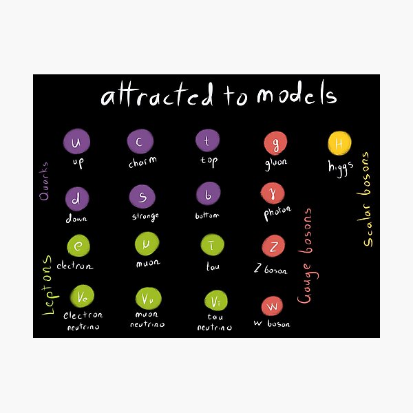 Item preview, Attracted to Models designed and sold by Retreker.