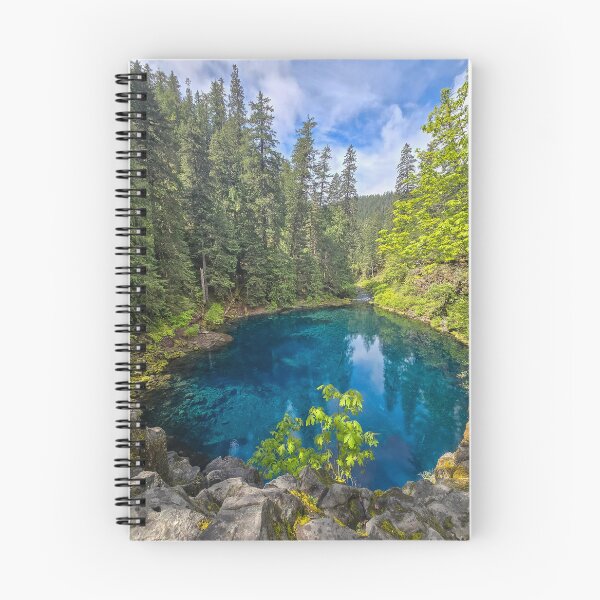 Item preview, Piscina azul en verano designed and sold by Nature at its finest.