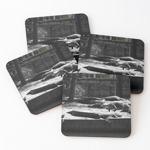 Item preview,  Gatorscape Black And White designed and sold by MercerImages.