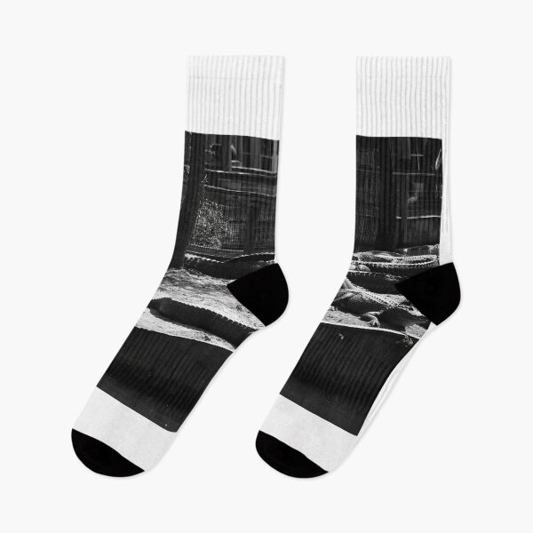 Item preview,  Gatorscape Black And White designed and sold by MercerImages.