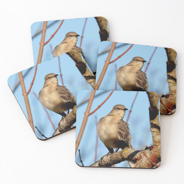 Item preview, Mockingbird  designed and sold by Parks and X.