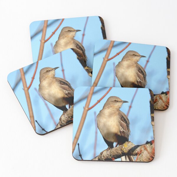 Item preview, Mockingbird  designed and sold by Parks and X.