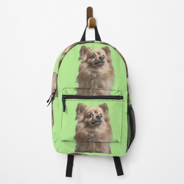 Item preview, Cute pets designed and sold by FluffyGallery.