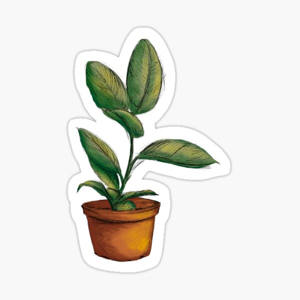 Vista previa del artículo con la obra «Planta en maceta», diseñado y vendido por abbygdraws.