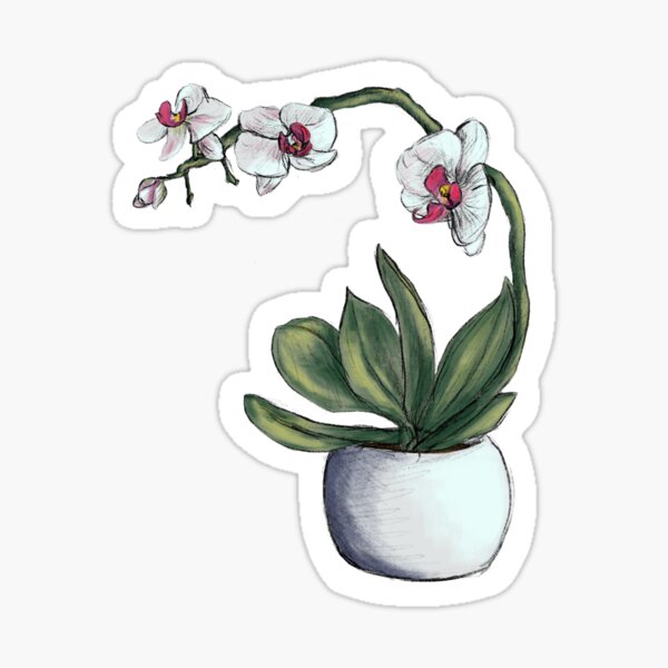 Vista previa del artículo con la obra «Orquídea», diseñado y vendido por abbygdraws.
