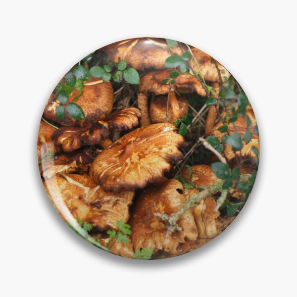 Item preview, Orange Mushrooms designed and sold by puntspics.