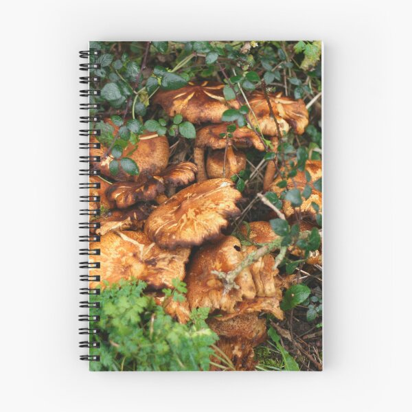 Item preview, Orange Mushrooms designed and sold by puntspics.